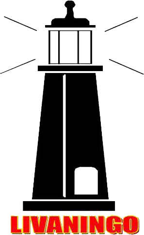 Livaningo Logo 1.png