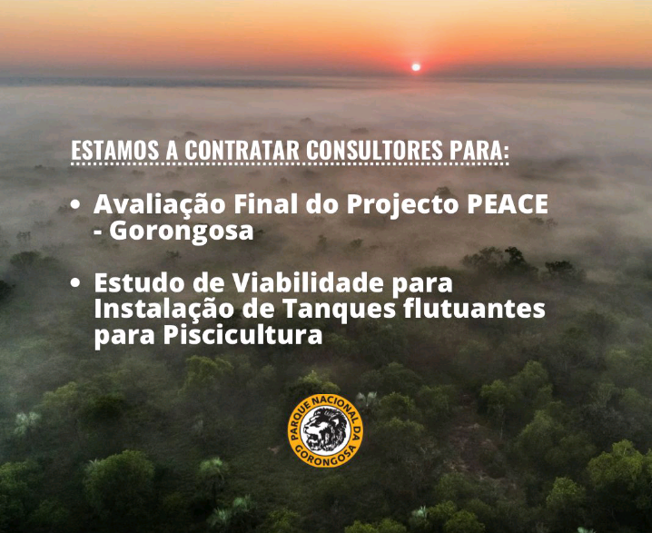 Screenshot 20260210 145736 1.png