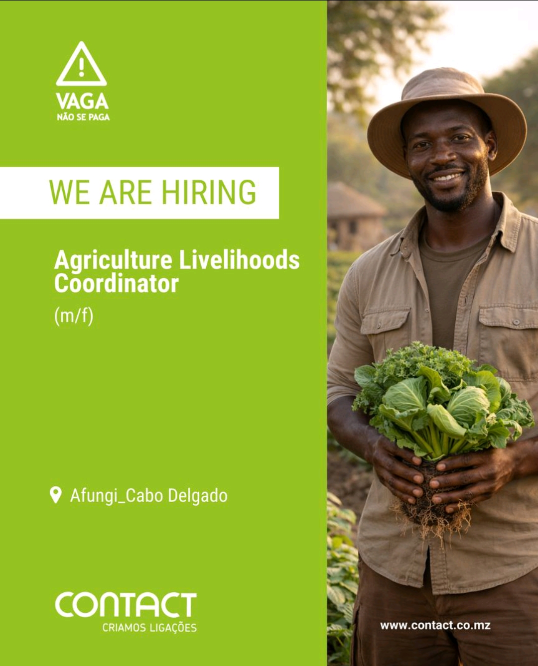 Screenshot 20260213 071100.jpg