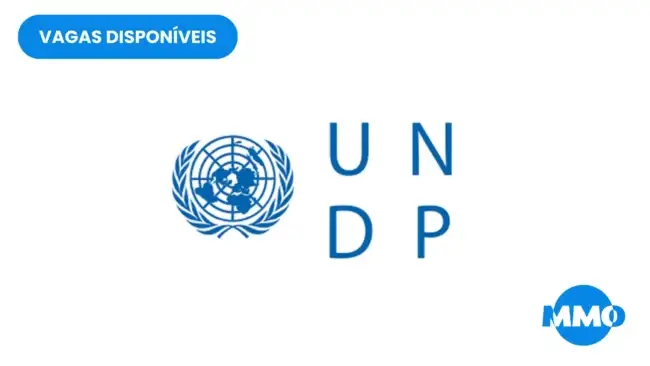 Vaga na UNDP: Project Manager