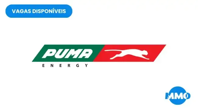 Vaga na Puma Energy Mozambique: Country Finance Manager
